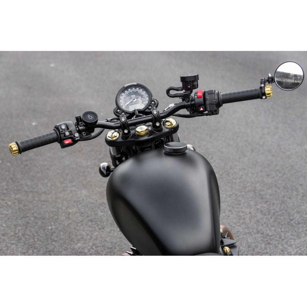 CUSTOM BILLET INDICATOR TURN SIGNALS - PAIR - BLACK/BRASS Bezels