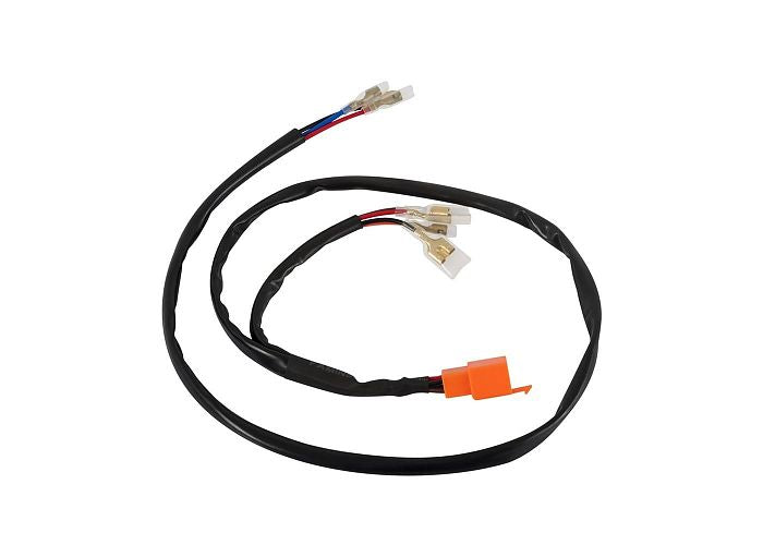 rogue motorcycles triumph bonneville thruxton scrambler efi carb model tail tidy kit custom perth australia bike build